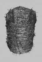 Stacheldraht 100m (m=0,20�)