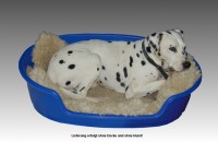 Plastik Hundekorb D=85cm Blau