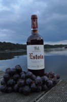 Rosewein Wein Rosado Estola 2008 Cabernet Sauvignon Ros� Spanien