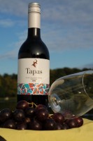 Wein Rotwein Tapas Tempranillo 2008  Spanien Rot roter Wein