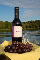 Wein Rotwein Ines Escobar Merlot Chile Rot