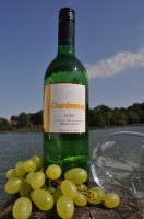 Wein Wei�wein Ines Escobar Chardonnay 2007 Chile wei�er Wein
