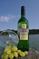 Wein Wei�wein Diego Chardonnay 2008 Chile wei�er Wein
