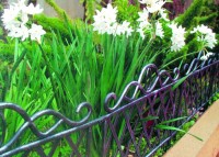 Blumenbeet-Einz�unung Beetumz�unung Beetkante