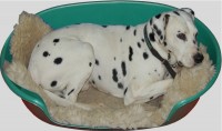 Plastik Hundekorb D=85cm gr�n